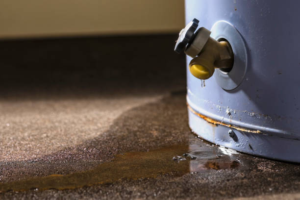Best Flood damage cleanup  in Black Forest, CO