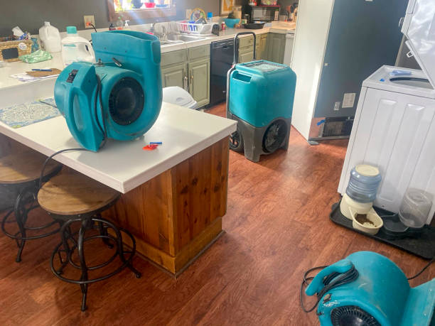 Best 24-hour water damage restoration  in Black Forest, CO