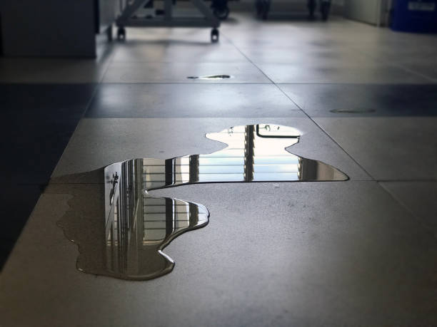 Best Commercial water damage restoration  in Black Forest, CO