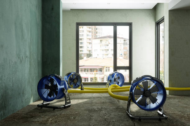 Best Water damage contractors near me  in Black Forest, CO